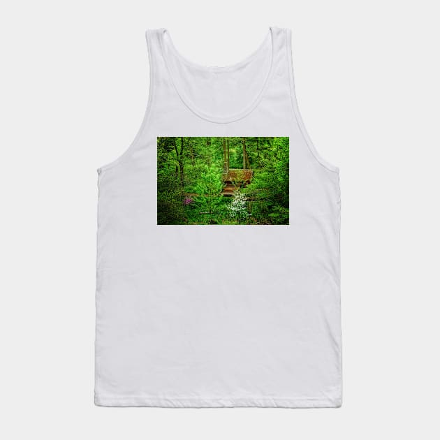 A Cabin In The Woods Tank Top by JimDeFazioPhotography
